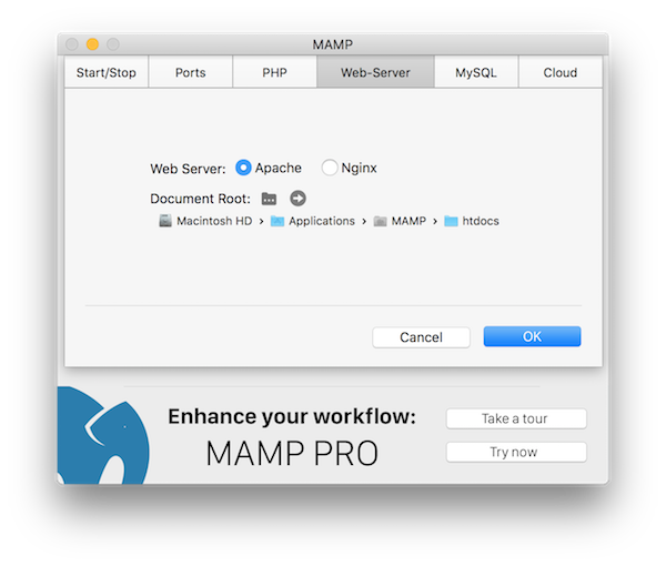 setting up mamp server